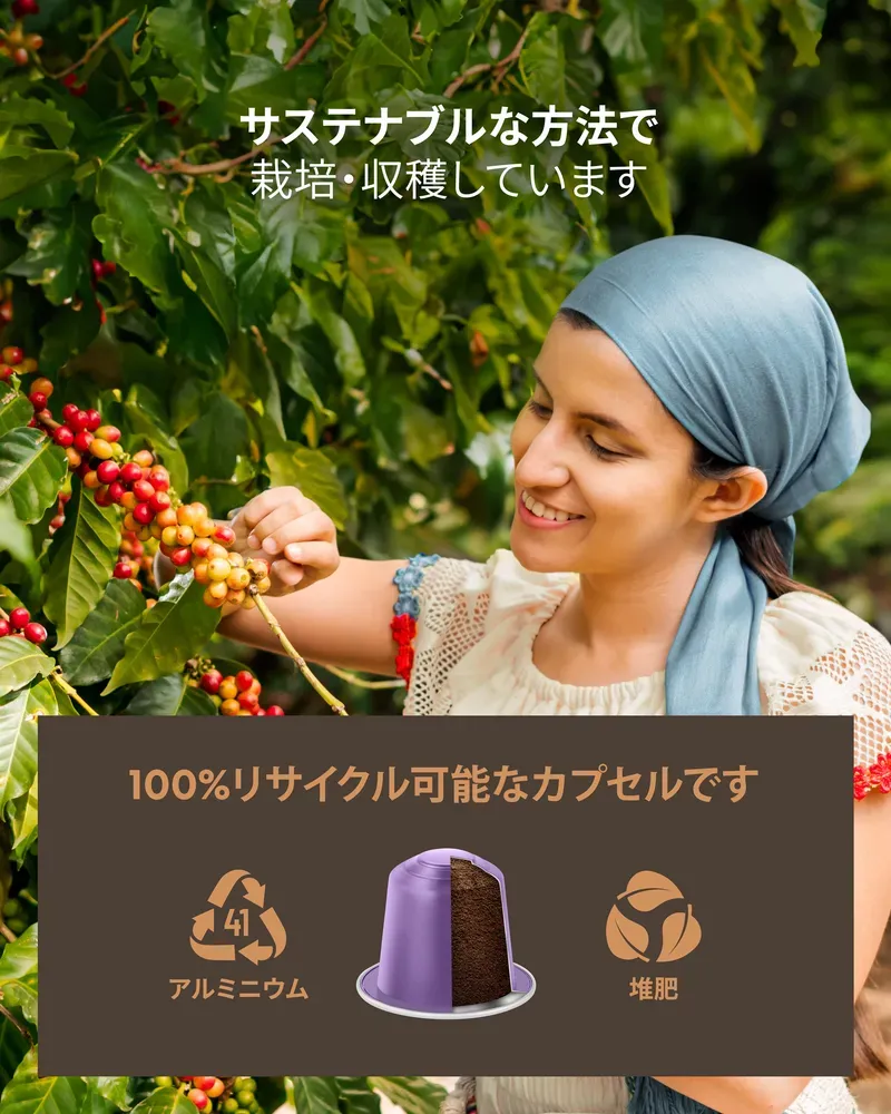 リザーブ エクストラダーク 80 - 5