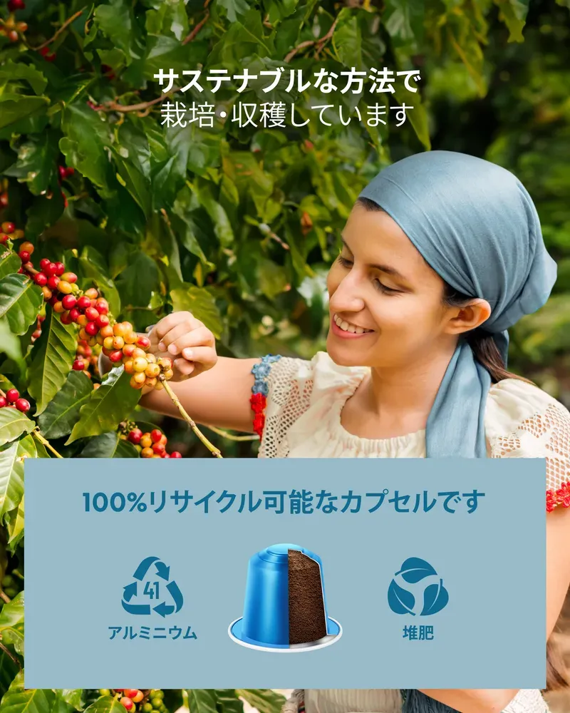 リザーブ アイス 80 - 8