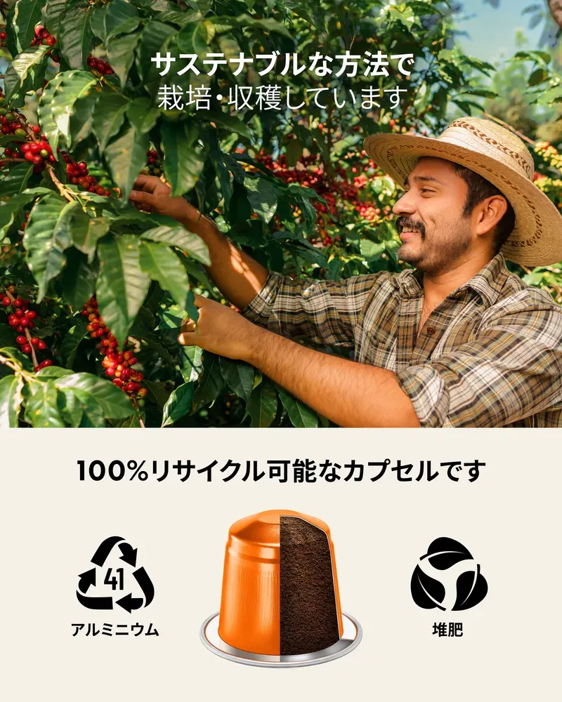 フレーバーパック 120 - 8